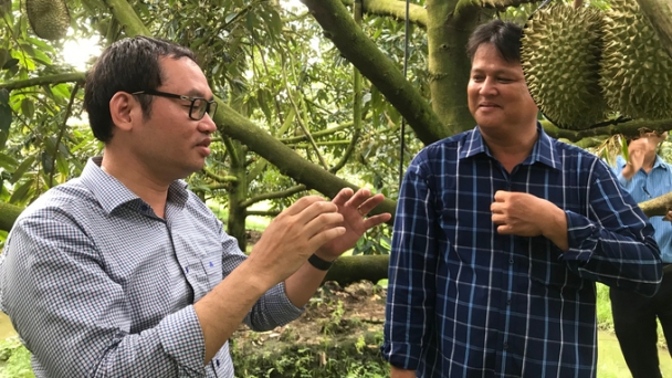 The first durian association in the Mekong Delta was launched