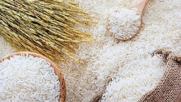 Rice prices on 10/03/2024: Mixed fluctuations