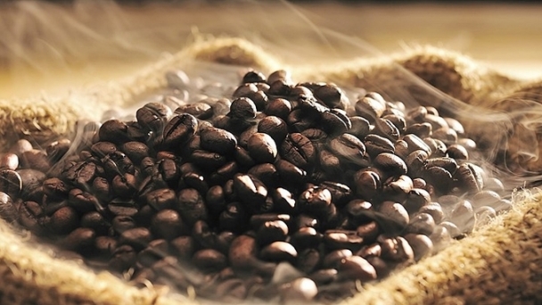 Coffee prices on 10/05/2024: Strong rebound