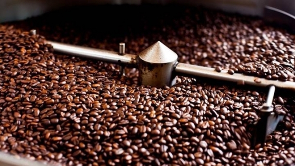 Coffee prices on 11/01/2024: Another sharp decline