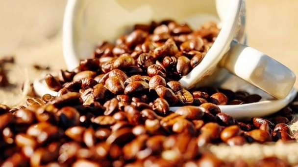 Coffee prices on 11/12/2024: Market sees strong increase