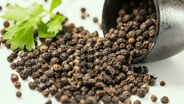 Pepper prices on November 14, 2024: Gia Lai increased by VND 500