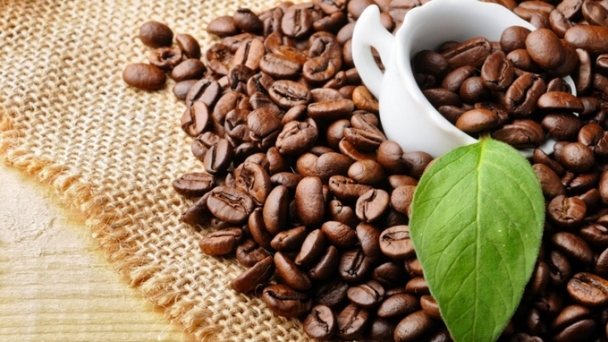 Coffee prices on November 19, 2024: Slight increase of VND 500/kg