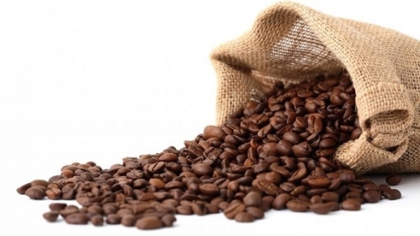 Coffee prices on November 20, 2024: Increase of VND 700-800/kg