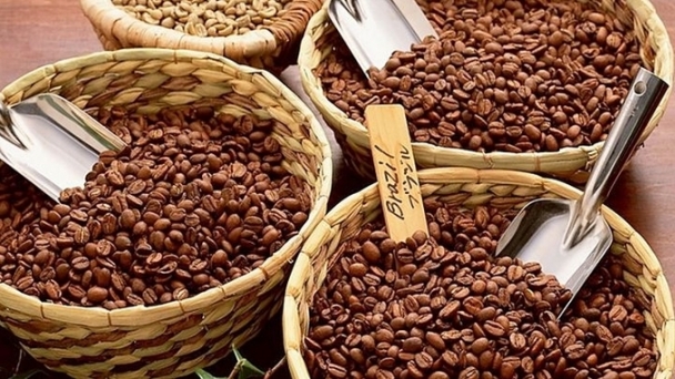 Coffee prices on November 26, 2024: Increase to VND 122,000/kg