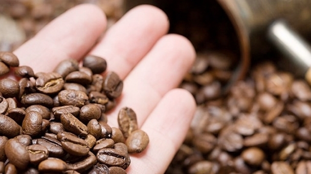 Coffee prices on December 13, 2024: Slightly increase again