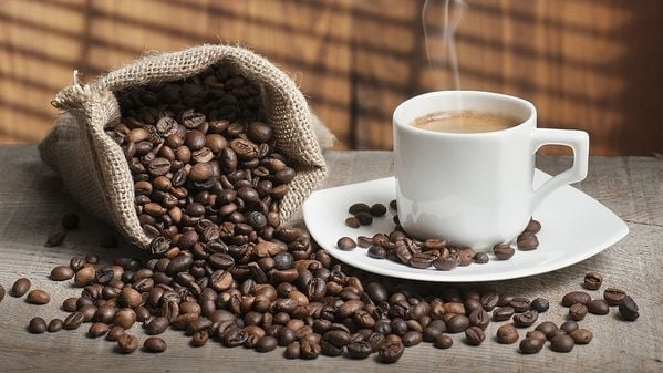 Coffee prices on December 31: Slight increase of VND 200/kg