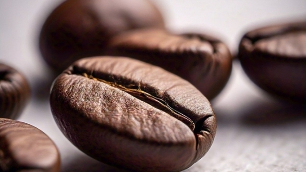 Coffee prices on January 8, 2025: Market rises across the board