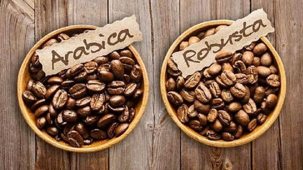 Coffee prices on February 6, 2025: The market rises sharply