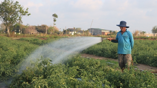 Hồ chứa nước giáp biển: Công trình nhỏ, lợi ích to