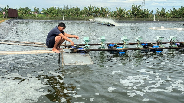 Phòng bệnh trong nuôi trồng thủy sản chuyển biến tốt [Bài 2]: Chủ động quan trắc, ngăn ngừa từ sớm