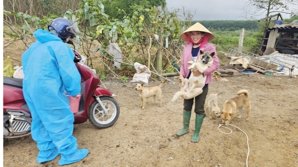 Tỷ lệ tiêm phòng vacxin tăng, nguy cơ bệnh dại sẽ giảm