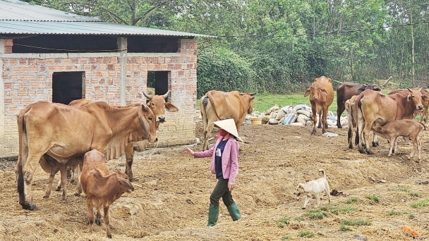 Cơ sở an toàn dịch bệnh làm bệ đỡ cho chăn nuôi