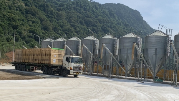 Chăn nuôi thay đổi để tồn tại: [Bài 4] Mỗi cơ sở chăn nuôi là một 'ốc đảo'