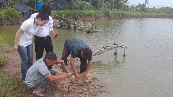 Sẵn sàng các phương án bảo vệ thủy sản mùa mưa bão