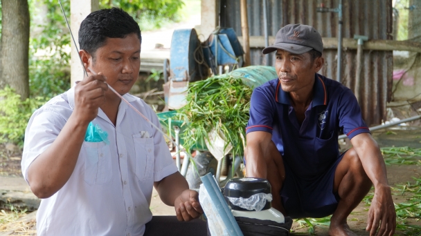 Lập Trung tâm dịch vụ nông nghiệp khiến ngành thú y lúng túng