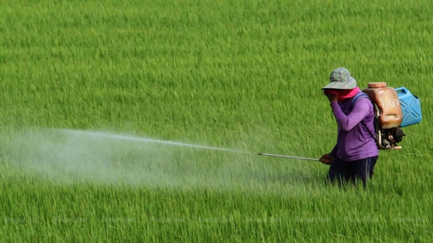 Thái Lan hưởng lợi từ việc hạn chế hóa chất bảo vệ thực vật