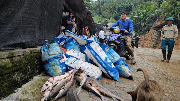 Mất trắng ở Nậm Cang