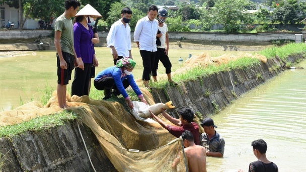 Lào Cai có gần 10.000 hộ người dân tộc thiểu số sản xuất kinh doanh giỏi