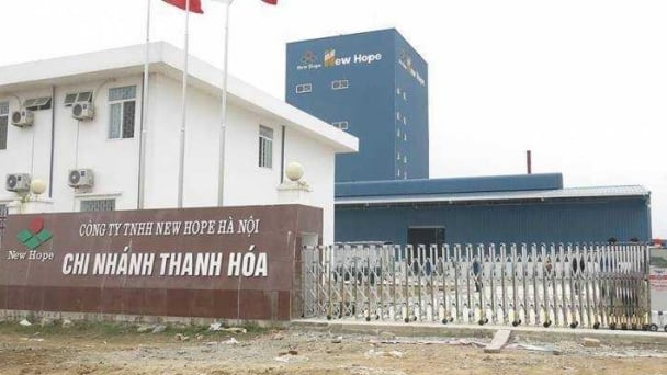 Thanh Hóa phạt Công ty TNHH Newhope do vi phạm chất lượng thức ăn chăn nuôi