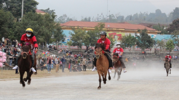 Vó ngựa trên cao nguyên Bắc Hà