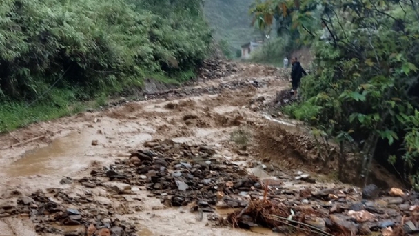 Đi kiểm tra ruộng, một người bị sét đánh tử vong