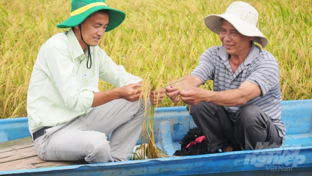 Tăng lúa hữu cơ, nuôi trồng thủy sản, giảm khai thác hải sản