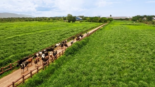 How do farmers benefit from the way enterprises implement ‘Net Zero’?