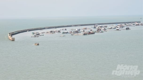 Mariculture in Kien Giang: Challenges in attracting investment