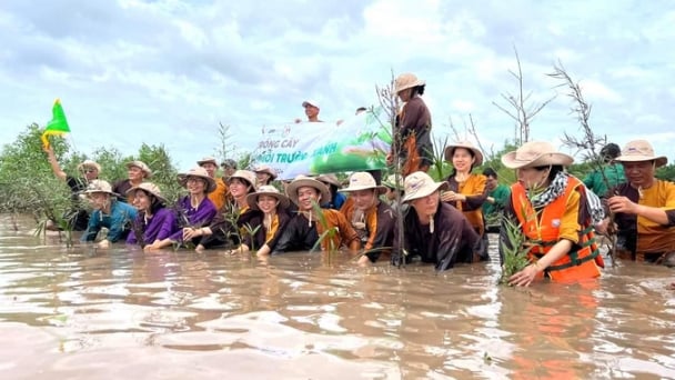 Ben Tre tourism develops in the right direction, tourists stay longer