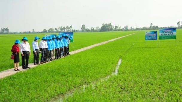 Two viable development orientations for the pesticide industry