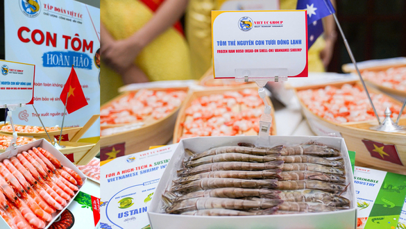 Viet Uc Group and solutions to collaborate with Bac Lieu in ‘Elevating Vietnamese Shrimp’