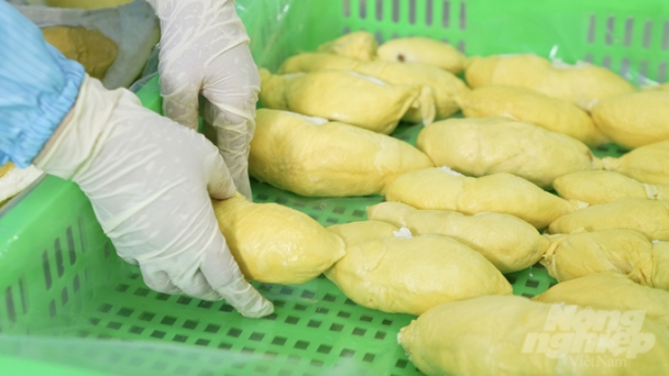 Durian exports in 2024 are projected to potentially exceed 3 billion USD