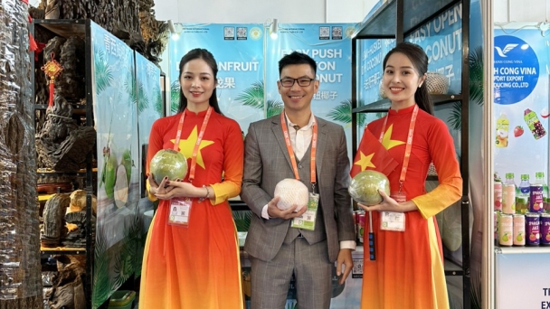 A series of promotional events for the Vietnamese coconut industry in China