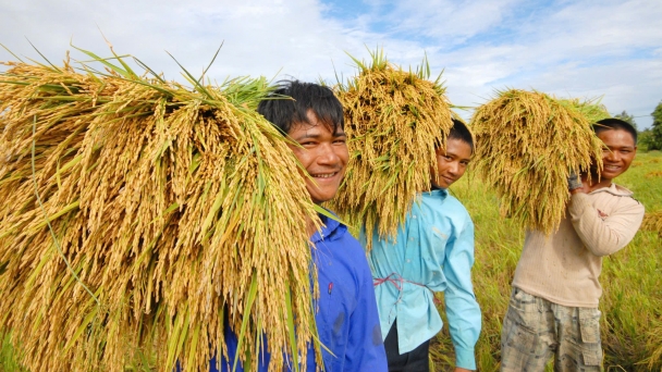 Using emission reductions payment as a driving force to guide farmers