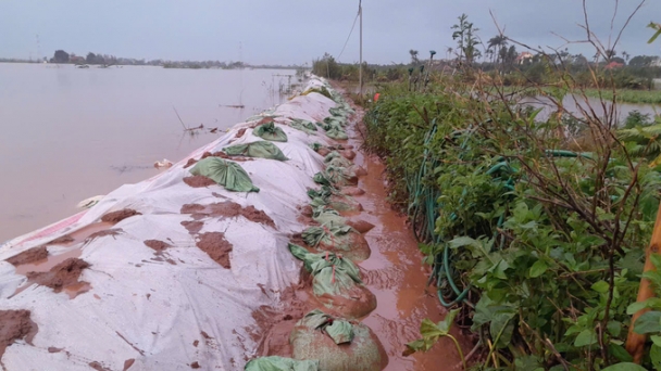 'Saving' dykes and irrigation works after Typhoon Yagi: Splitting canal to save Bac Hung Hai system