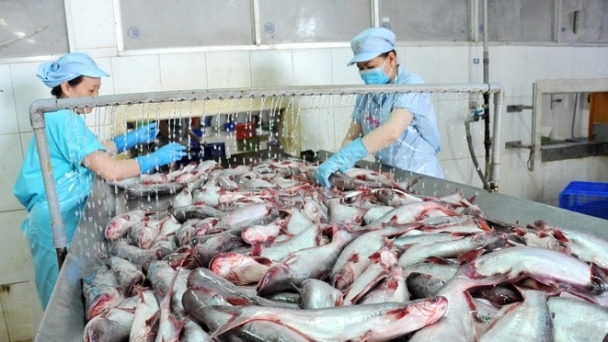 Three strategies helping Vinh Hoan make an international mark in the pangasius sector