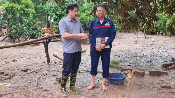 Securing agricultural supplies to help farmers restore production after the typhoon