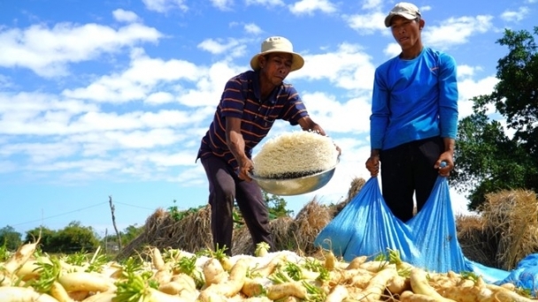 Launching handbook for building the food system development project