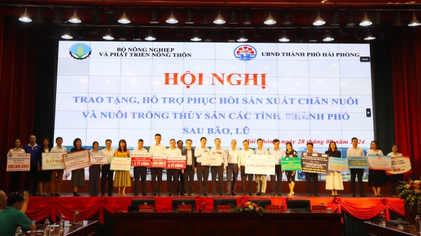 Hơn 160 tỷ đồng được Bộ NN-PTNT kêu gọi hỗ trợ thiệt hại do bão