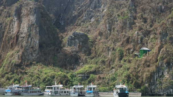 Vegetation in Ha Long Bay is devastated after Typhoon Yagi