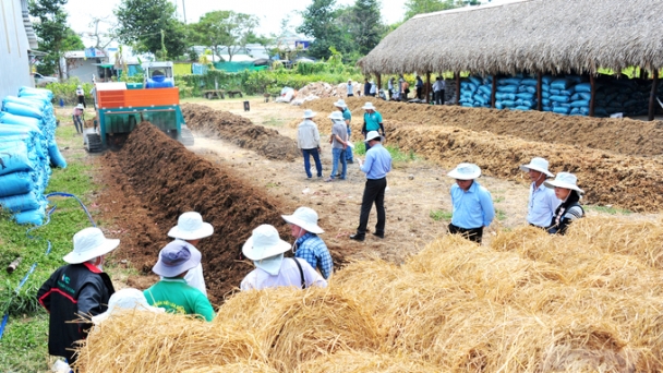 Expanding the circular economy model from rice straw in Can Tho