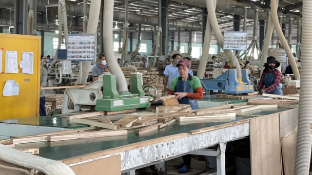 Binh Dinh's wood industry targets an export turnover of over 1 billion USD