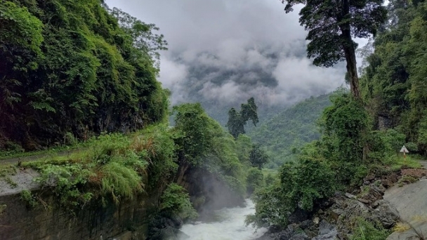 Perfecting the carbon market in Vietnam