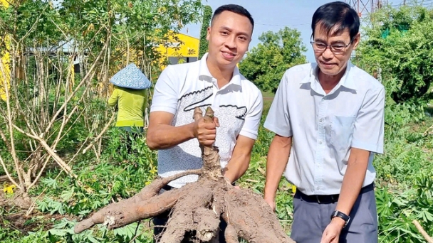 Reduce emissions through sustainable cassava cultivation