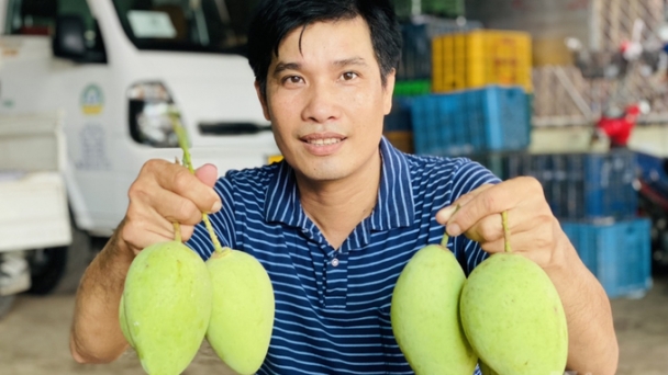 Geographical indications - a leverage for Cao Lanh mango to reach the world