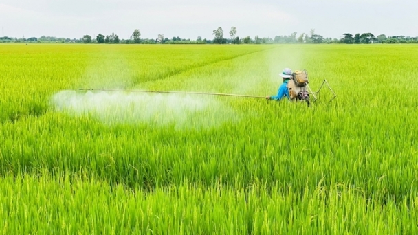 Contribution to food security and support of ASEAN's carbon neutral strategy