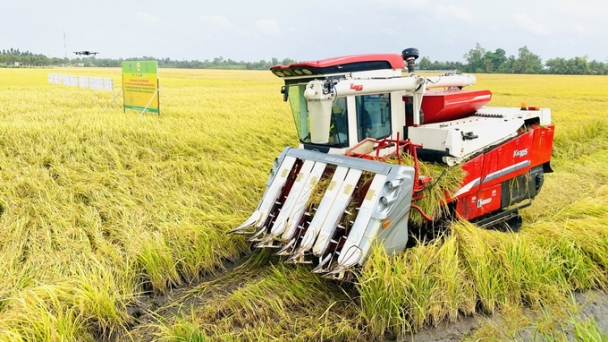 Reduce water use in rice cultivation to decrease emissions