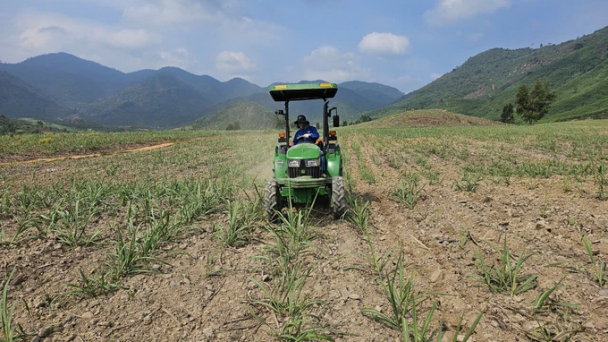 AgriS Ninh Hoa invests in nearly 10,000 hectares of sugarcane cultivation area