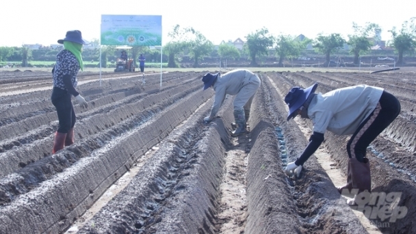 Collaboration to transform the potato production landscape in northern provinces